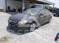 2010 Chevrolet Malibu фото