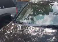 2010 Acura MDX фото
