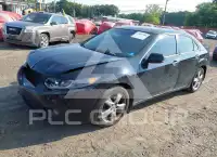 2010 Acura TSX photo