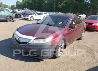 2010 Acura TL фото