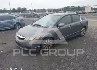 2010 Honda CIVIC фото