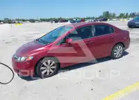 2010 Honda CIVIC photo