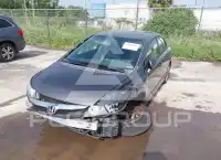 2010 Honda CIVIC photo