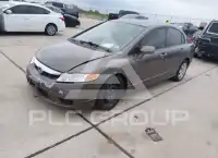 2010 Honda CIVIC фото