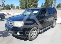 2010 Honda PILOT фото