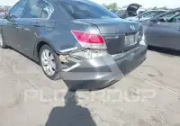 2010 Honda Accord фото