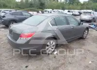 2010 Honda Accord photo