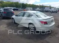 2010 Honda Accord photo