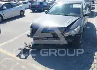 2010 Honda Accord фото
