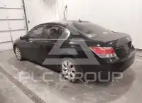 2010 Honda Accord фото