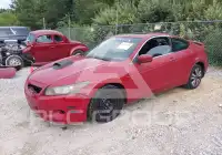 2010 Honda Accord фото