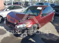 2010 Honda Accord фото