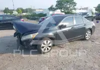2010 Honda Accord фото