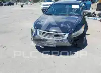 2010 Honda Accord photo