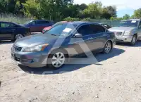 2010 Honda Accord photo