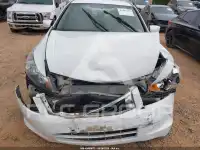 2010 Honda Accord photo