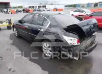 2010 Honda Accord photo
