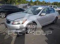 2010 Honda Accord фото