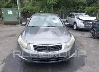 2010 Honda Accord photo