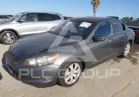 2010 Honda Accord photo