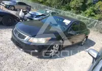 2010 Honda Accord photo