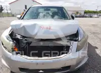 2010 Honda Accord фото