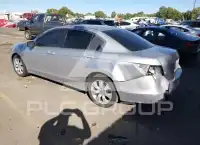 2010 Honda Accord фото