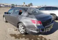 2010 Honda Accord photo