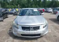 2010 Honda Accord photo