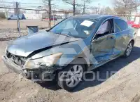2010 Honda Accord фото