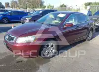 2010 Honda Accord фото