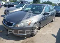 2010 Honda Accord photo
