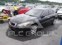 2010 Honda Accord photo