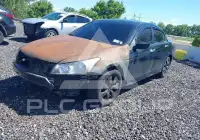 2010 Honda Accord фото