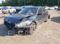 2010 Honda Accord photo