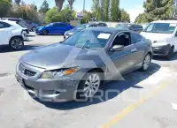 2010 Honda Accord фото