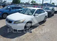 2010 Honda Accord фото