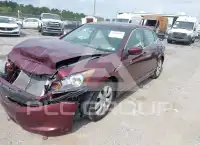 2010 Honda Accord photo