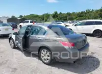 2010 Honda Accord photo