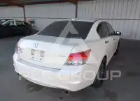 2010 Honda Accord photo