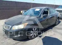 2010 Honda Accord фото