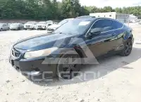 2010 Honda Accord фото