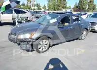 2010 Honda Accord фото