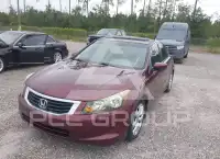 2010 Honda Accord photo