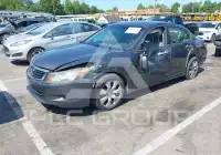2010 Honda Accord фото