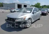 2010 Honda Accord фото