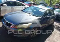 2010 Honda Accord photo