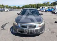 2010 Honda Accord photo