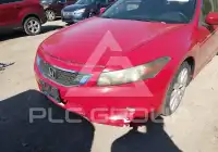 2010 Honda Accord фото