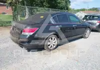 2010 Honda Accord фото